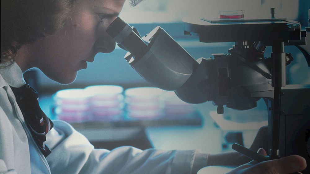 donna al microscopio