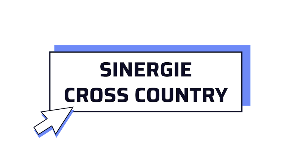riquadro sinergie cross country